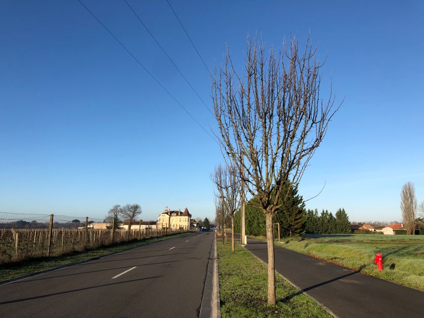 Le terrain envisagé pour le futur collège de Parempuyre (à droite) n'est séparé que d'une rue des vignes du Château Clément-Pichon