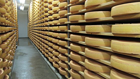 Cave d'affinage du gruyère - Stéphane Cosme