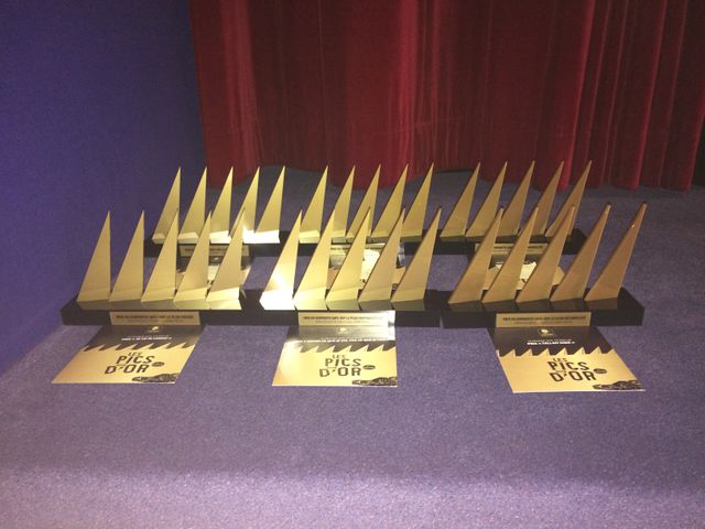 Lors de la cérémonie, "Les Pics d'or" ont été décernés à six lauréats.