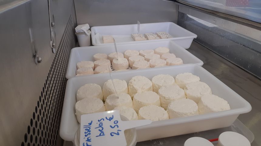 Fromages bio de chèvres