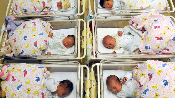 Pouponnière ©AFP - WALTRAUD GRUBITZSCH / DPA