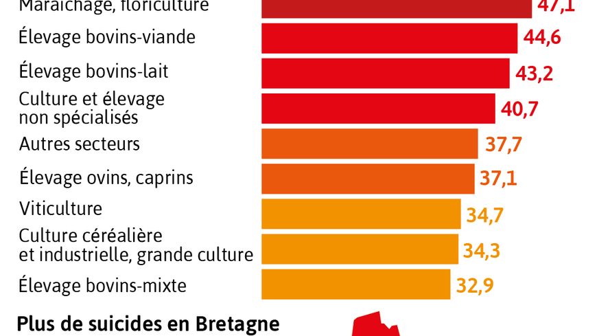 Suicides d'agriculteurs : "Le phénomène est ancien mais son entrée dans