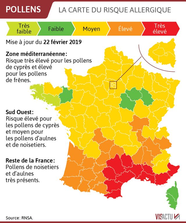 Le risque allergique, au 22 février