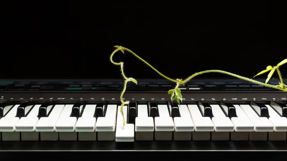 1825, Maria Szymanowska publie son nocturne pour piano "Murmure"/ Musicopolis ©Getty - Yuji Saka
