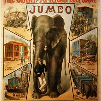 Affiche de Jumbo