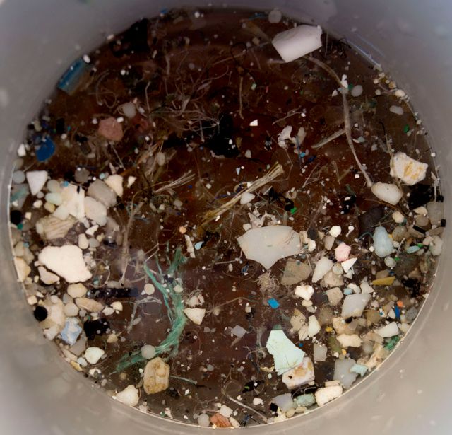 Intérieurs de filtres prélevés par les scientifiques de l’expédition Tara Pacifique dans le Great Pacific Garbage Patch, le “continent de plastique