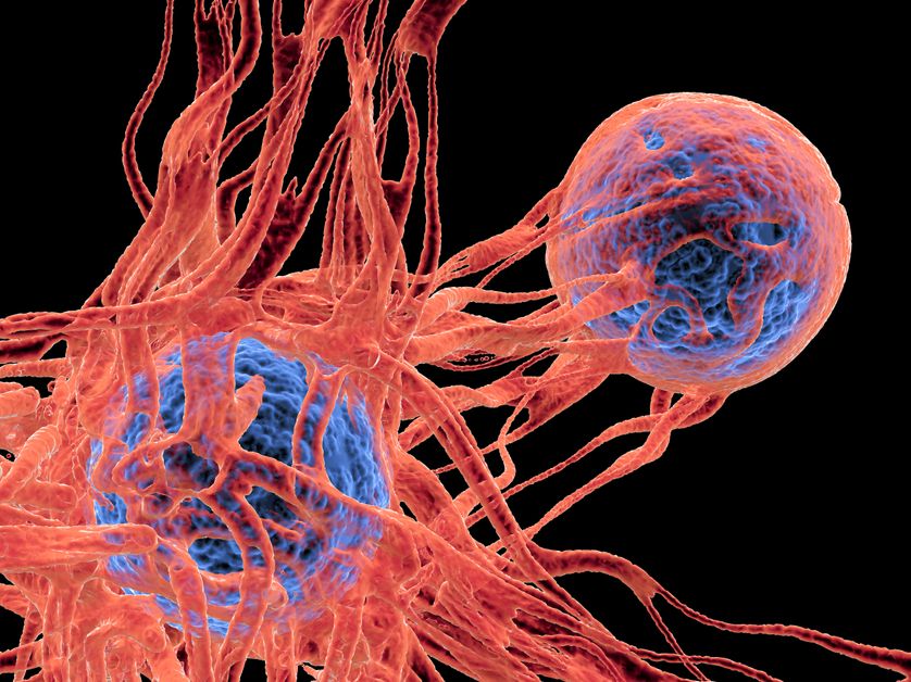 Nouvelle Médecine du cancer (La) (Sciences) (French Edition)