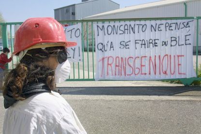 Une militante anti-ogm participe, le 14 avril 2001 à Trèbes, à une manifestation devant le portail de la société Monsanto, Une militante anti-ogm participe, le 14 avril 2001 à Trèbes, à une manifestation devant le portail de la société Monsanto,