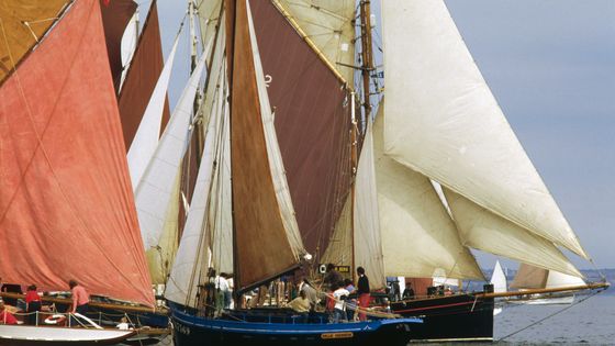 La régate des vieilles coques, une course internationale d'anciens bateaux à voiles, en 1986. ©Getty - Bernard Annebicque/Sygma