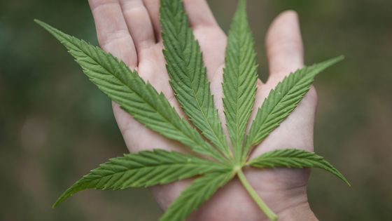 Les hommes qui ont fumé du cannabis produisent plus de spermatozoïdes ©Getty - Claudia Weingart / EyeEm