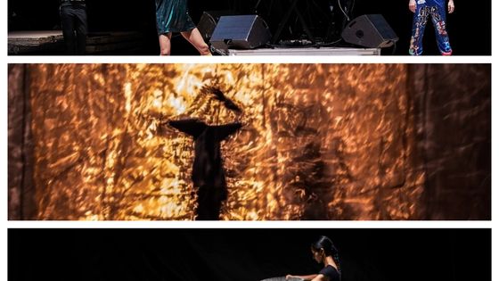 de haut en bas : "Fix Me" (© Agathe Poupeney), "Aujourd'hui Sauvage" (© Jean-Louis Fernandez) et "aSH" (© Aglae Bory)