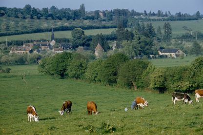 Des chemins pour rapprocher les agricuteurs des citadins Des chemins pour rapprocher les agricuteurs des citadins