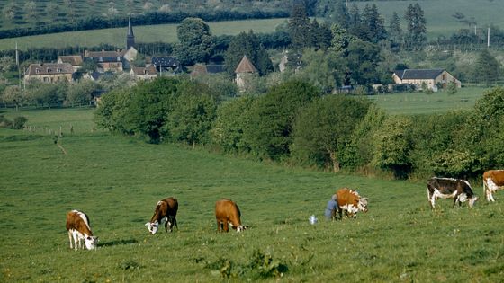 Des chemins pour rapprocher les agricuteurs des citadins ©Getty - Howell Walker