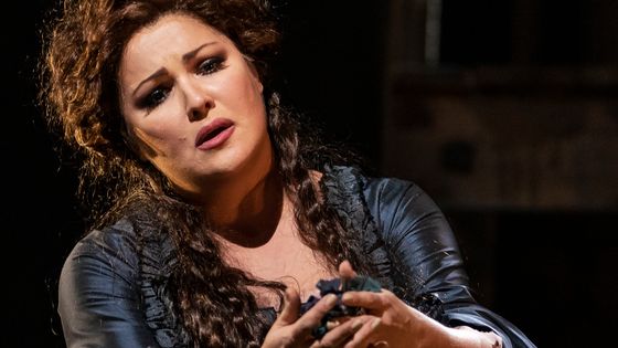 Anna Netrebko interprètera pour la première fois Elisabetta dans Don Carlo en 2020 - Jack Vartoogian/Getty Images
