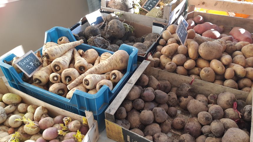 Légumes bio de saison