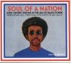 Soul Of A Nation