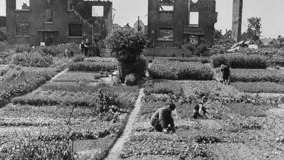 Ruines d'une ville dévastée par les bombes dans la vallée de la Ruhr, 1945 ©Getty - Margaret Bourke-White/The LIFE Picture Collection/Getty Images