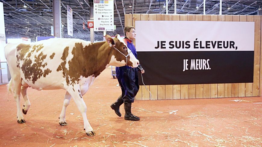 En France, un agriculteur se donne la mort tous les deux jours en France selon la MSA (Mutualité Sociale Agricole)