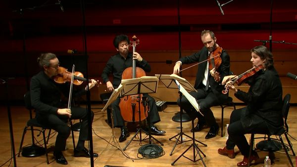 Le Quatuor Cambini joue Haydn