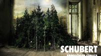 La Sonate Arpeggione de Schubert par Marie-Elisabeth Hecker & Martin Helmchen