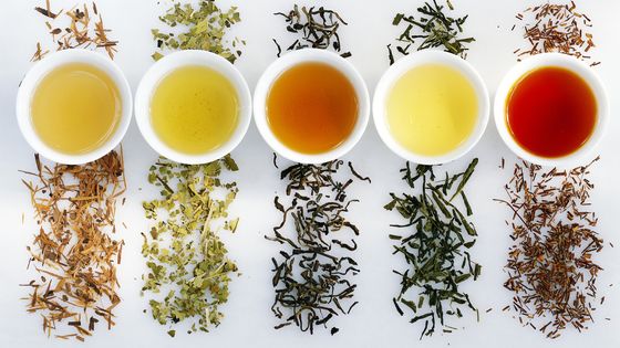 Lapacho, Matetea, Rooibos, thé vert et thé noir ©Getty - Maximilian Stock Ltd.