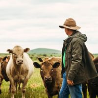 Retour à la ferme : La vie est dans le pré ?