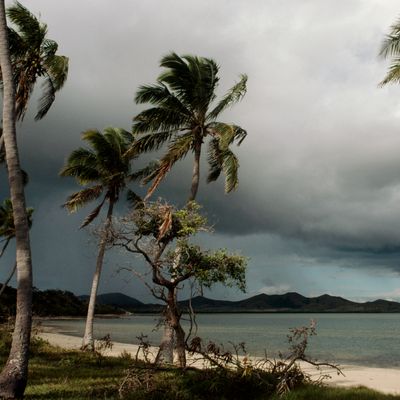 Depuis 1992, L'Organisation des Nations Unies et la Banque mondiale reconnaissent comme groupe particulier de pays en développement les « petits Etats insulaires en développement » (PEID)