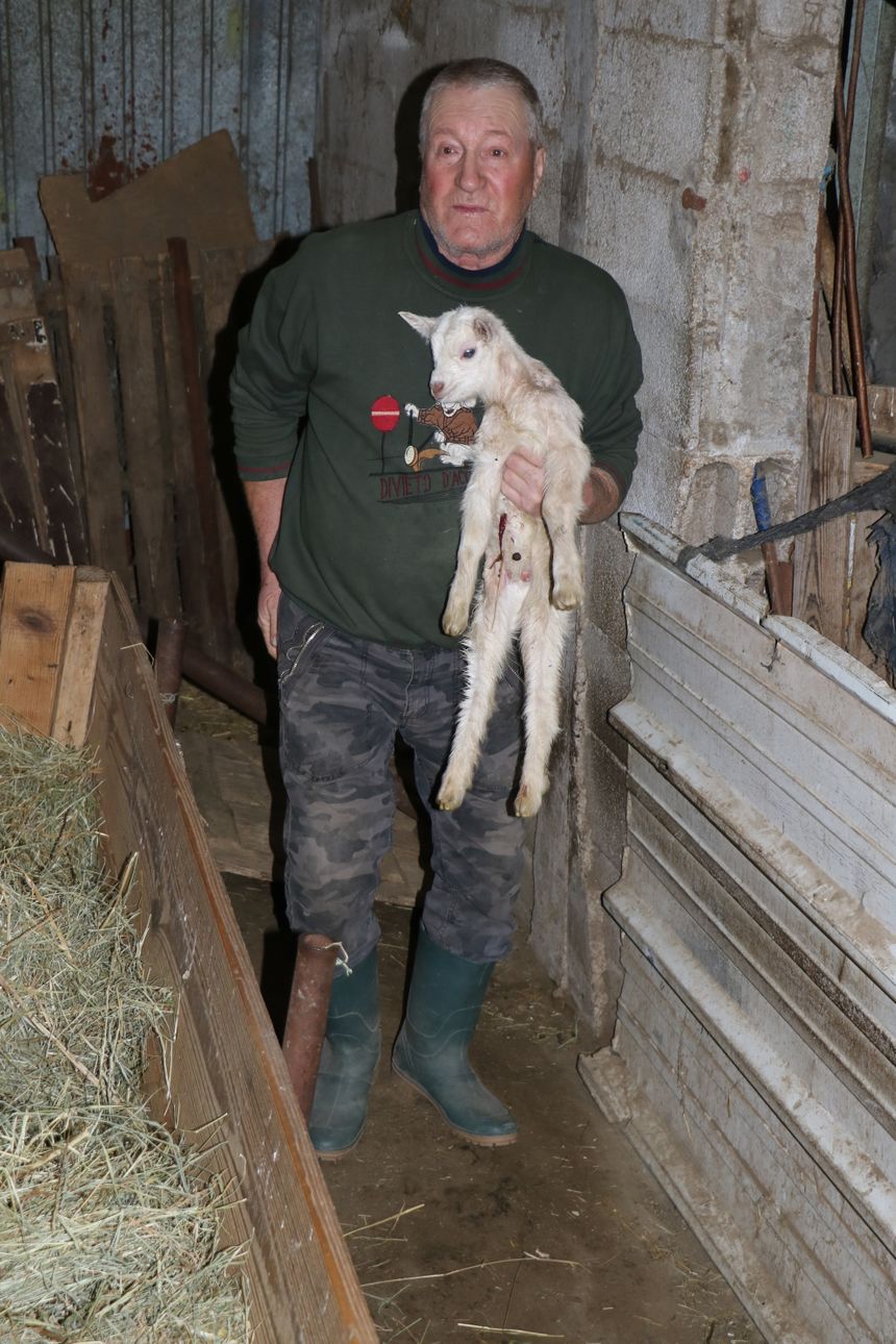M.Cappelli et un petit chevreau