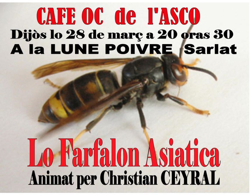 café òc de l'Asco