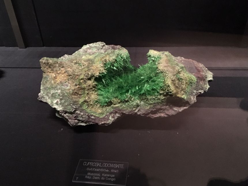 Cristal de Cuproklodowskite - Radioactif - Sorbonne Université
