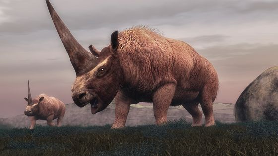 La licorne de Sibérie ©Getty - Stocktrek Images