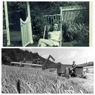 L'été, divine saison des vacances ?