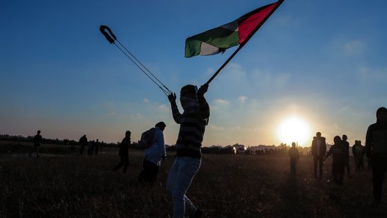 Khan Younès, Gaza, Palestine -02/03/2019 ©Getty - Yousef Masoud/SOPA Images/LightRocket