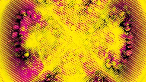 Cali - Pixvae - Pochette de Claire Rolland