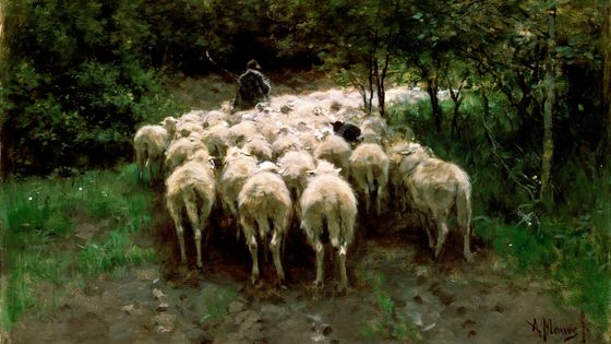 Sheep in the Forest, Anton Mauve (1838-1888) ©Getty - Heritage Images / Hulton Fine Art Collection