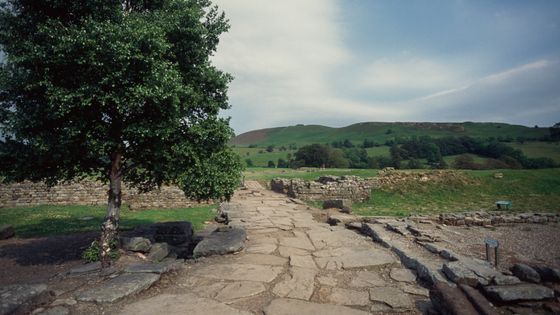 Route romaine menant au Fort de Vindolanda, près du mur d'Hadrien (UNESCO World Heritage Site, 1987), Angleterre, Royaume-Uni, civilisation romaine, Ier - IIème siècles. ©Getty