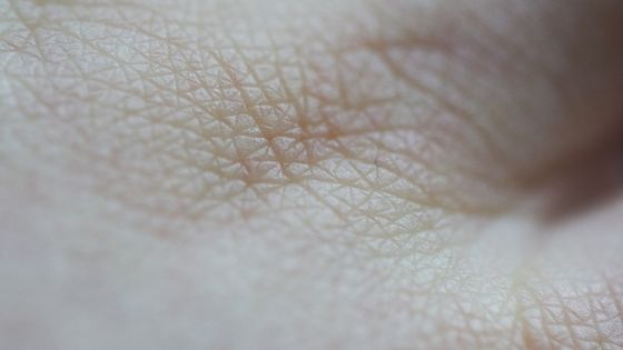 La technologie sera-t-elle un jour capable d'imprimer de la peau, pour réparer les brûlures ou couvrir les tatouages ? ©Getty - Rhys Hayward