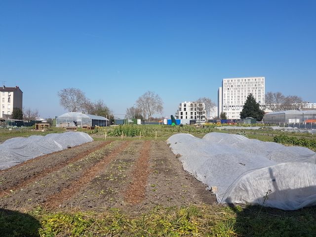 Ferme urbaine de Seine-Saint-Denis, "Zone Sensible", centre de production d’art et de nourriture, créé en 2018