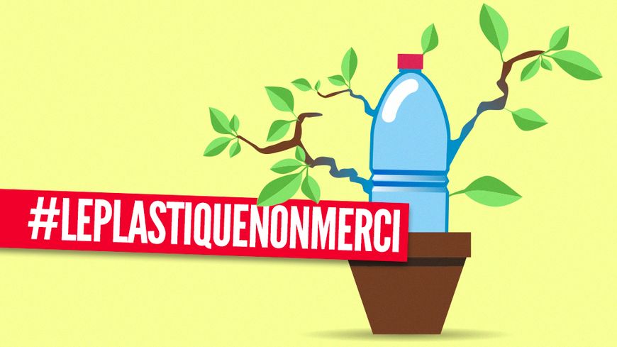 Quelques grandes marques commencent à incorporer plastique de récupération dans leurs emballages