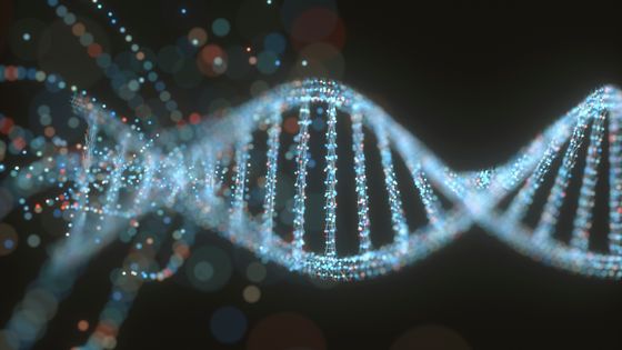 DNA structure ©Getty - KTSDESIGN/SCIENCE PHOTO LIBRARY