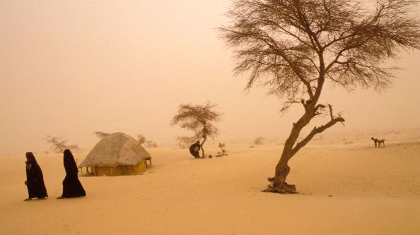Camp touareg près de Tombouctou (Mali) pendant une tempête d'harmattan, 1988