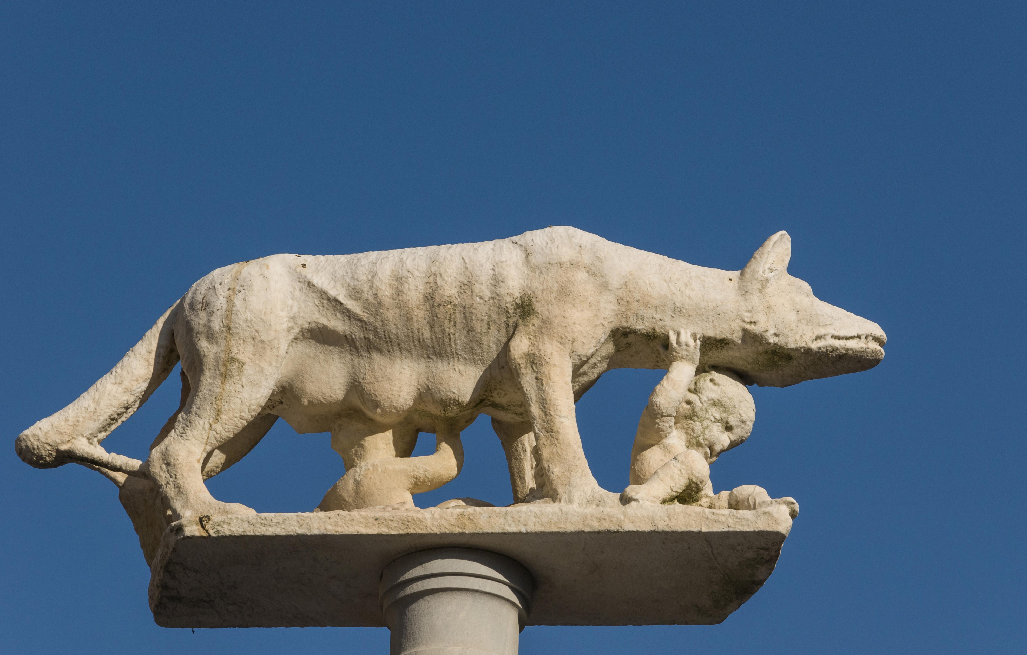 Paul Veyne Ce Qu On Appelle La Culture Romaine Mais C Est La Culture Grecque