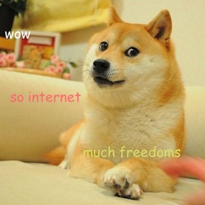 La version mème du shiba inu