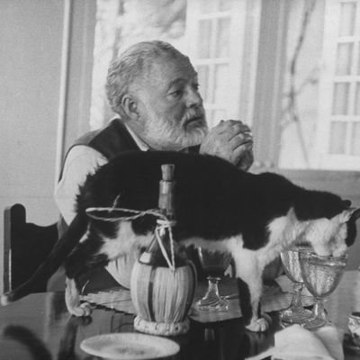 L'écrivain Ernest Hemingway photographié chez lui