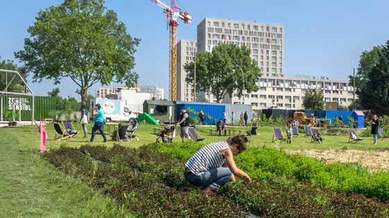 "Zone Sensible", la ferme urbaine de Saint-Denis, lieu de production agricole et culturelle (19 mai 2018) ©Maxppp - Bruno Levesque