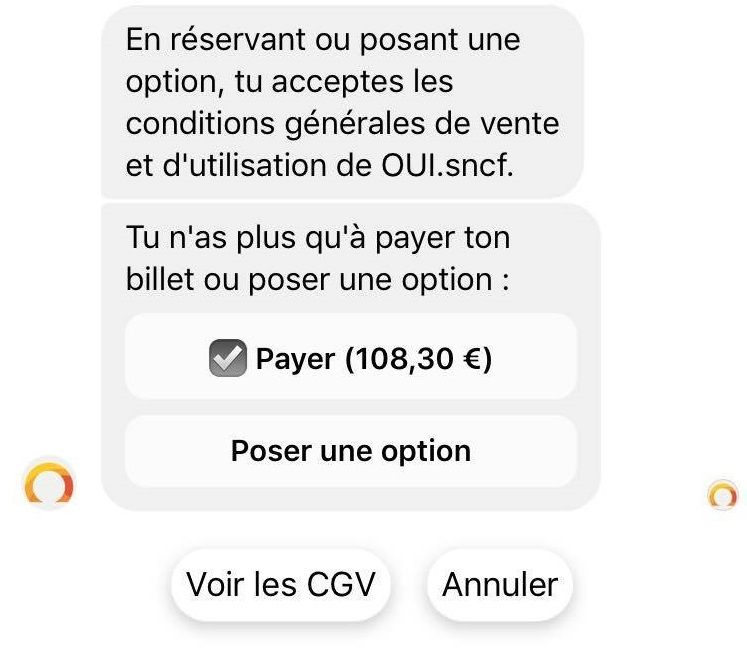 Voilà, c'est fini ! Il suffit de cliquer pour payer le billet de train.