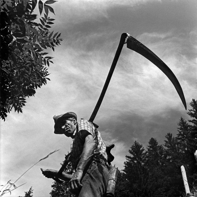 Le faucheur