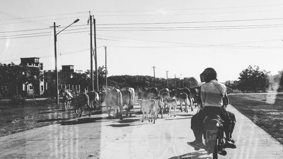 "« Welcome to Nay Pyi Taw » : plongée sonore en Birmanie", l'un des documentaires sonores de Radio France en 3D sur hyperradio.radiofrance.fr - Amandine Casademont