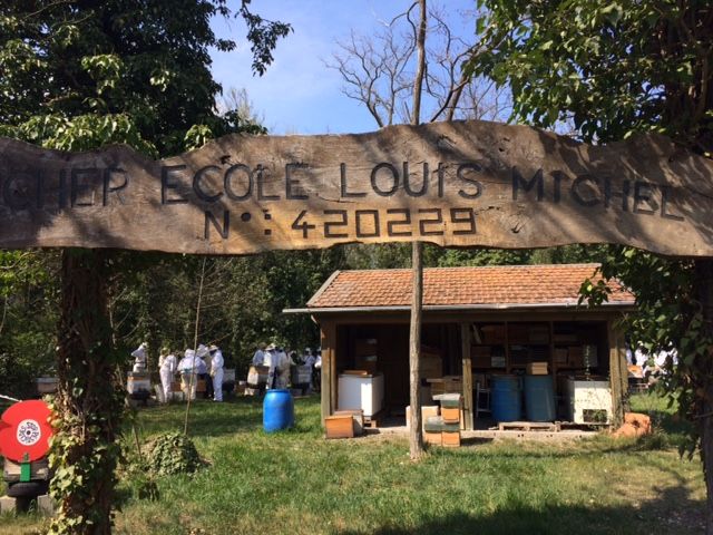 Le rucher-école de l'association "Les Abeilles du Forez"