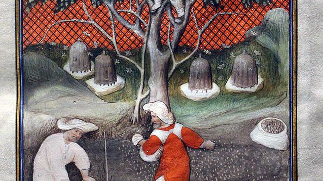 Illustration des "Géorgiques" de Virgile